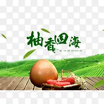 柚香四海-空若网 柚香四海-空若网