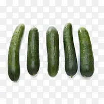 有机秋黄瓜-空若网 有机秋黄瓜-空若网