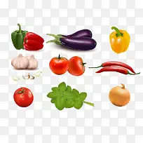 新鲜蔬菜-空若网 新鲜蔬菜-空若网