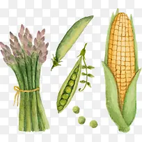 Ë®²ÊÊß²Ë-¿ÕÈôÍø Ë®²ÊÊß²Ë-¿ÕÈôÍø