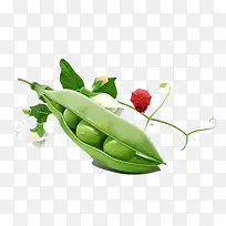 绿色食物青豆-空若网 绿色食物青豆-空若网