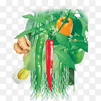 Êß²Ë-¿ÕÈôÍø Êß²Ë-¿ÕÈôÍø