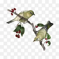 树枝和鸟-空若网 树枝和鸟-空若网