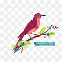 矢量鸟和树枝-空若网 矢量鸟和树枝-空若网