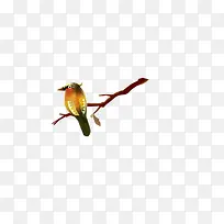 ��֦����-������