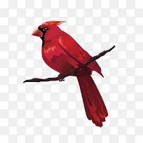 矢量树枝和鸟-空若网 矢量树枝和鸟-空若网