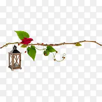 Ê÷Ö¦ºÍÄñ-¿ÕÈôÍø Ê÷Ö¦ºÍÄñ-¿ÕÈôÍø