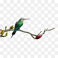 啄木鸟和树枝-空若网 啄木鸟和树枝-空若网