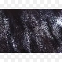 动物皮毛纹理背景-空若网 动物皮毛纹理背景-空若网
