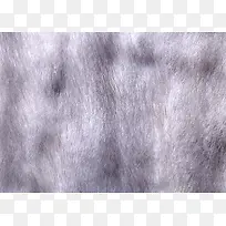 ¶¯ÎïÆ¤²ÝÎÆÀí±³¾°-¿ÕÈôÍø ¶¯ÎïÆ¤²ÝÎÆÀí±³¾°-¿ÕÈôÍø