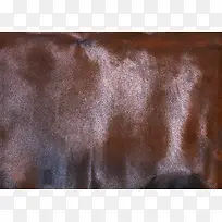 Ƥ����������-������