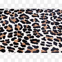 �����޷챳��-������