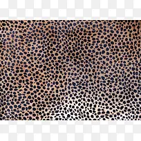 豹纹背景-空若网 豹纹背景-空若网