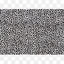 ����Ƥë����-������