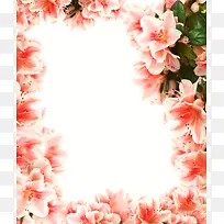 杜鹃花背景-空若网 杜鹃花背景-空若网