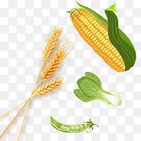 �ֻ�����߲��ز�-������