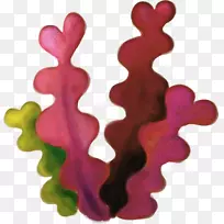 ���嶯����ͼ-������