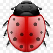 错误动物昆虫瓢虫phuzion-空若网 错误动物昆虫瓢虫phuzion-空若网