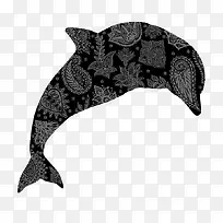 漂亮的海豚-空若网 漂亮的海豚-空若网