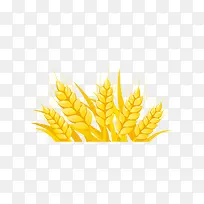 ��ɫ����������-������