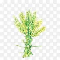 ˮ������-������