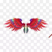 羽毛翼喙水彩鸟-空若网 羽毛翼喙水彩鸟-空若网