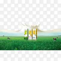 产品实物金典有机奶-空若网 产品实物金典有机奶-空若网
