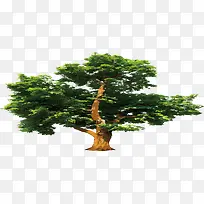 �ֻ���� ʸ������-������