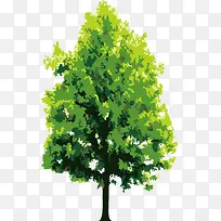 ��ͨ�����ֻ�����-������