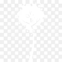 ��ɫ������ʻ�-������