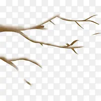 ¶¬¼¾Ê÷Ö¦À°Ã··ç¹â-¿ÕÈôÍø ¶¬¼¾Ê÷Ö¦À°Ã··ç¹â-¿ÕÈôÍø