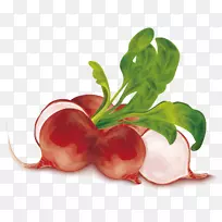 蔬菜萝卜有机食品素食菜胡萝卜有机胡萝卜-空若网 蔬菜萝卜有机食品素食菜胡萝卜有机胡萝卜-空若网