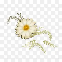 白色的菊花的线稿-空若网 白色的菊花的线稿-空若网