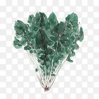 ���߲�-������