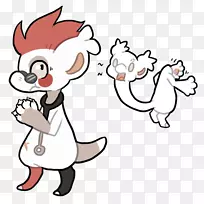 猫艺术动物肾脏-空若网 猫艺术动物肾脏-空若网