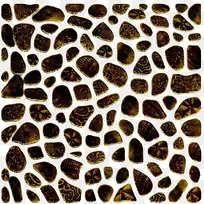 ��ʵĻ���ʯͷ-������