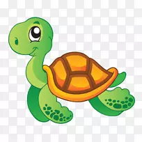 海龟水生动物剪贴画-海洋动物-空若网 海龟水生动物剪贴画-海洋动物-空若网