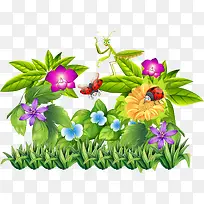 ʸÁ¿ÊÖ»æÖ²ÎïºÍÀ¥³æ-¿ÕÈôÍø ʸÁ¿ÊÖ»æÖ²ÎïºÍÀ¥³æ-¿ÕÈôÍø