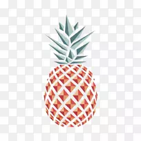 菠萝画水彩画平面设计艺术Tumblr-空若网 菠萝画水彩画平面设计艺术Tumblr-空若网