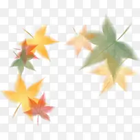 ��Ҷʸ���ز�-������