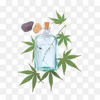 绿色枫叶-空若网 绿色枫叶-空若网