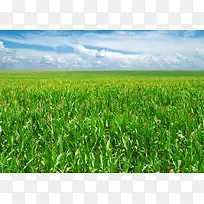 �����µ��̲�-������