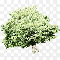 �����µĴ������-������