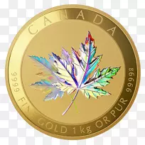 加拿大金枫叶金币全息图-空若网 加拿大金枫叶金币全息图-空若网