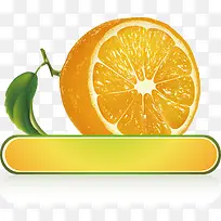 橙子文本框-空若网 橙子文本框-空若网