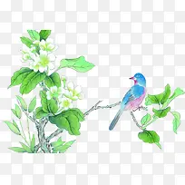 ��ɫ֦Ҷ-������