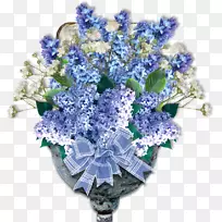 �л��϶��㻨-������