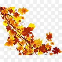 插画植物藤-空若网 插画植物藤-空若网