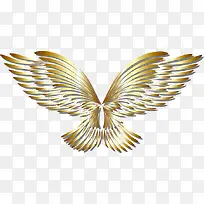 矢量美丽金色的翅膀插图-空若网 矢量美丽金色的翅膀插图-空若网