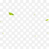 ��Ӱ��ҶЧ������-������